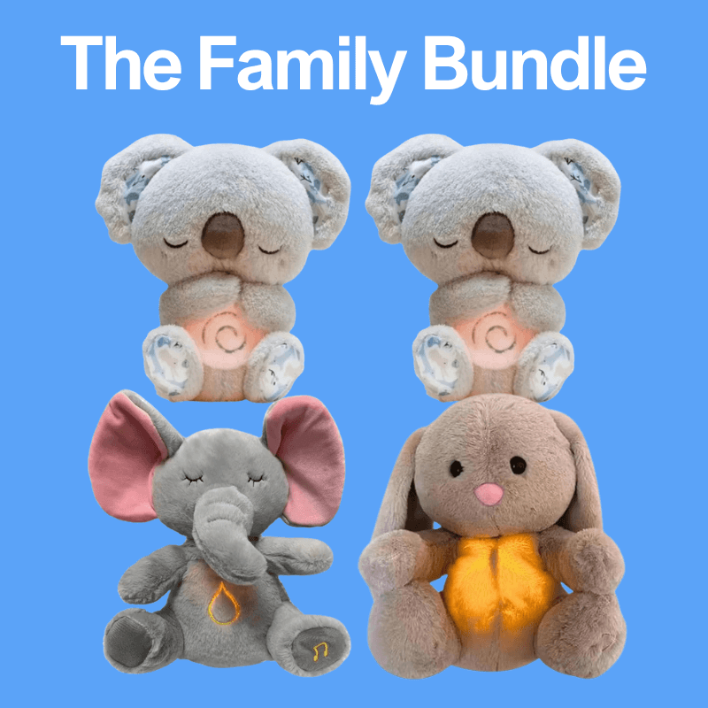 Calmpanion™ Family Bundle