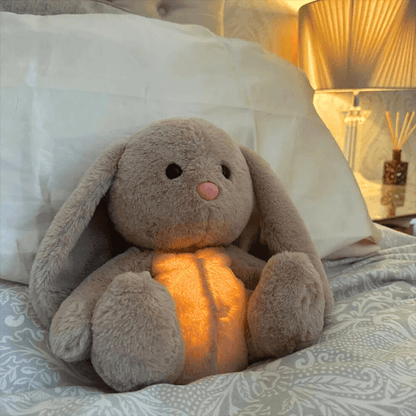 Calmpanion™ Family Bundle
