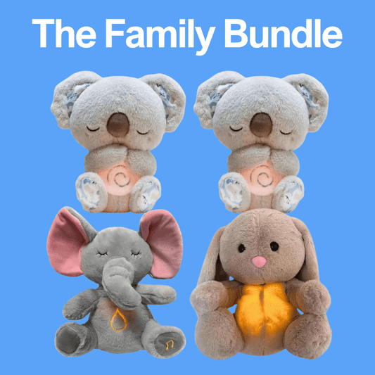 Calmpanion™ Family Bundle
