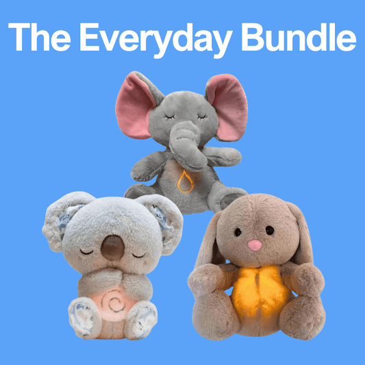 Calmpanion™ Everyday Bundle